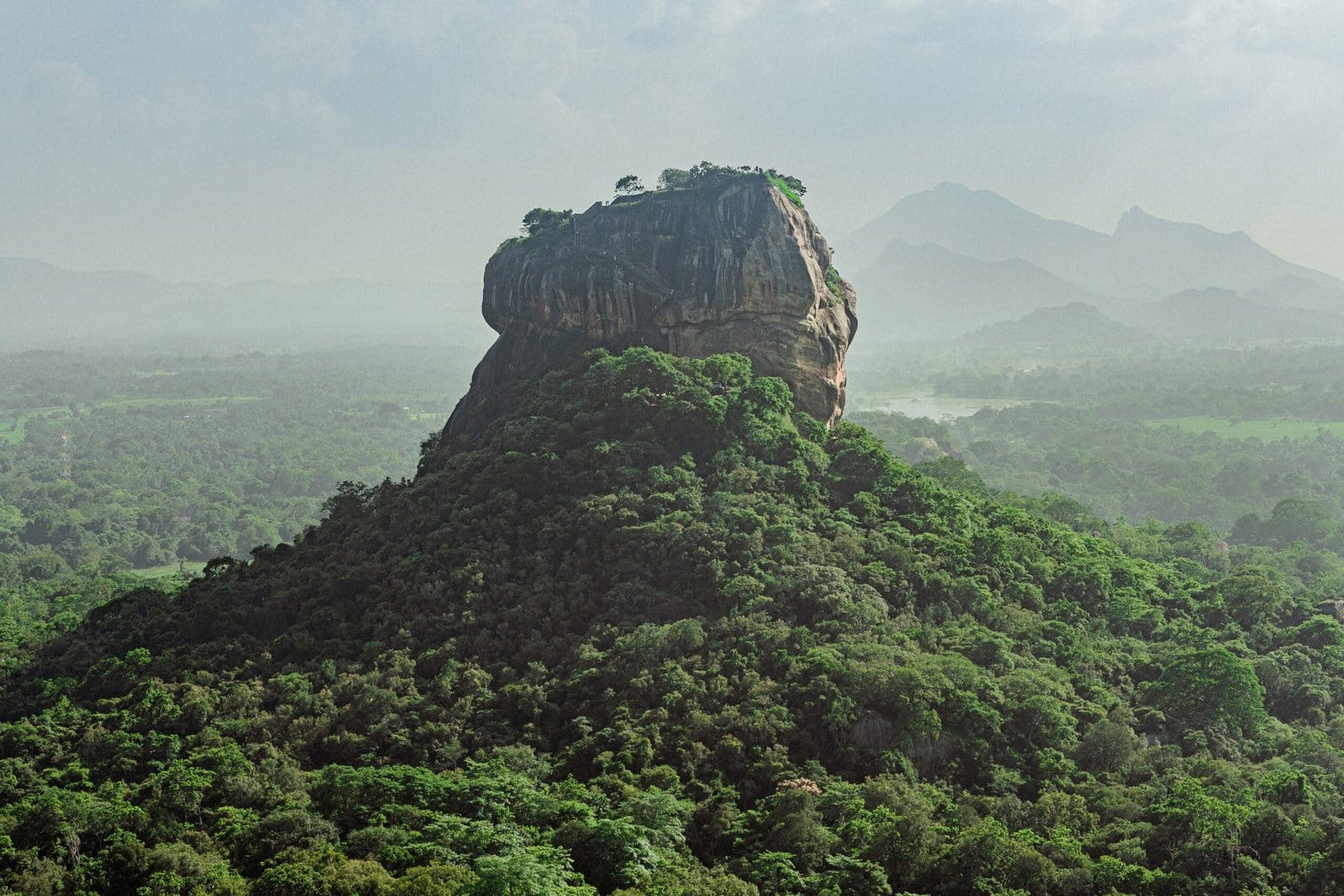 green trees on mountain during daytime