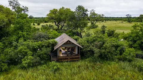 Getty Images Botswana’s Okavango Delta is one of Africa’s premier luxury safari destinations (Credit: Getty Images)